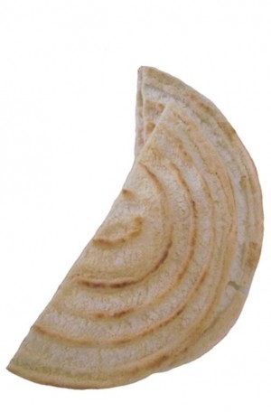 cassave brood